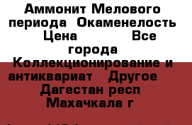 Аммонит Мелового периода. Окаменелость. › Цена ­ 2 800 - Все города Коллекционирование и антиквариат » Другое   . Дагестан респ.,Махачкала г.